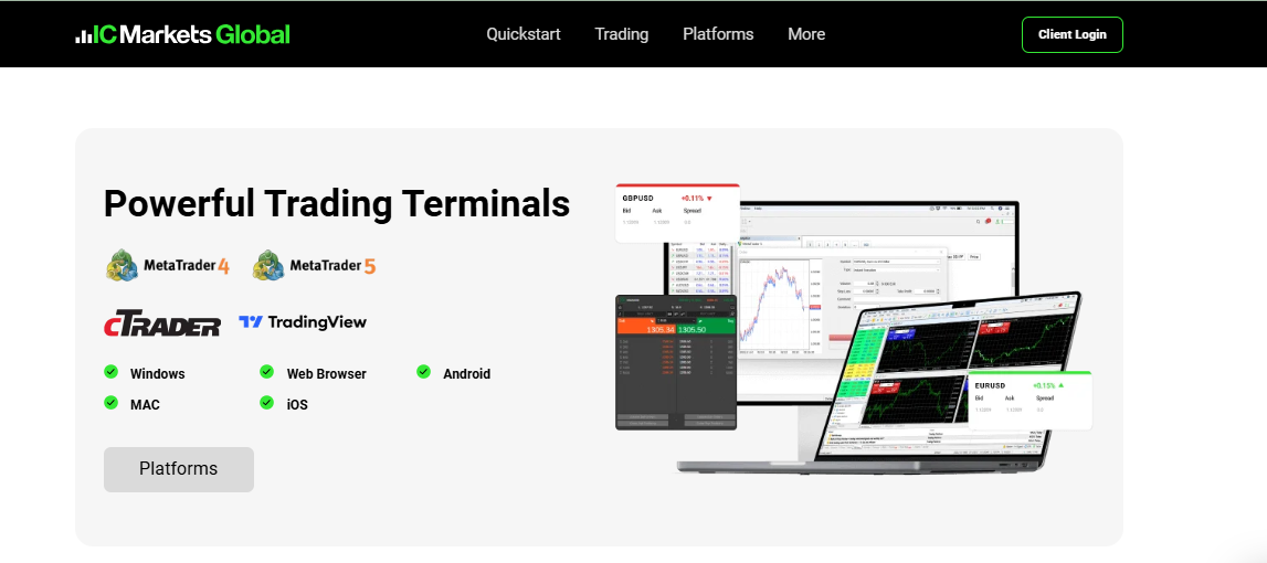 Powerful Trading Terminals