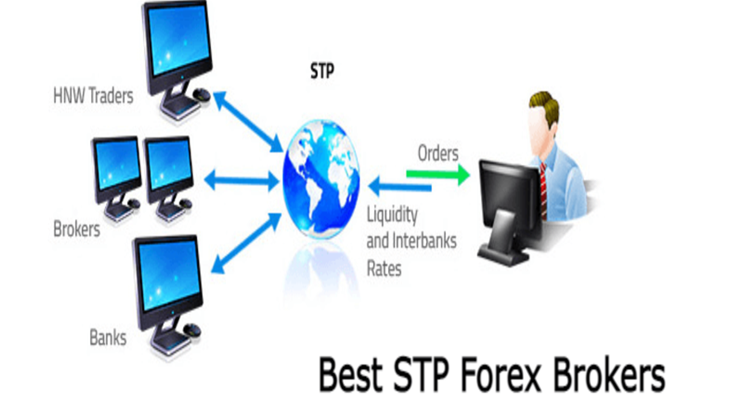 best stp forex broker 